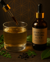 Load image into Gallery viewer, Cooling Waters Elixir
